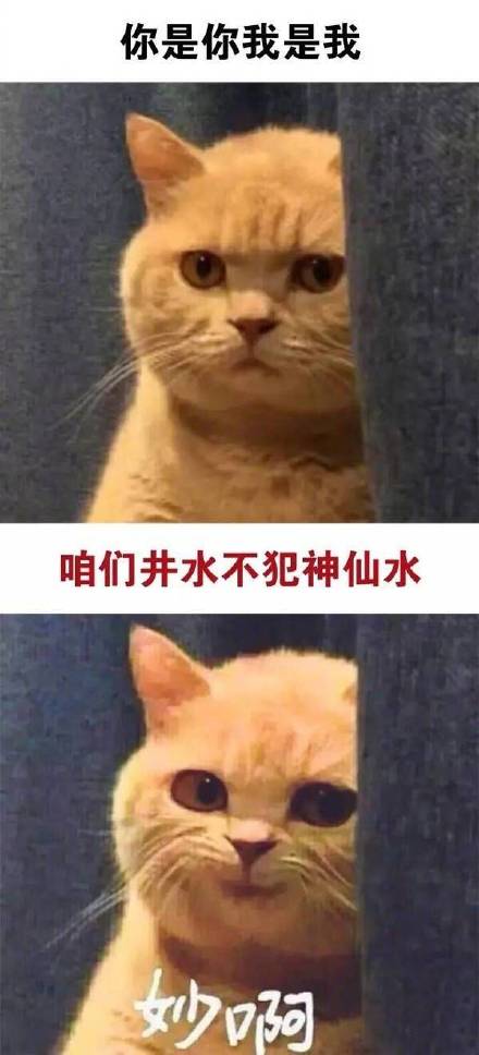 这款“真是妙啊”表情包火了，怼人摆烂都能用