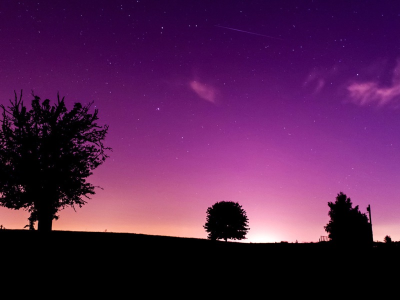 氛围感拉满！紫色星空小树房子电脑动漫壁纸