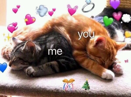 满屏小心心太甜啦！我的眼里都是你的表情包合集