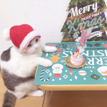 22张超萌喵星人情侣头像 高清可爱直接用