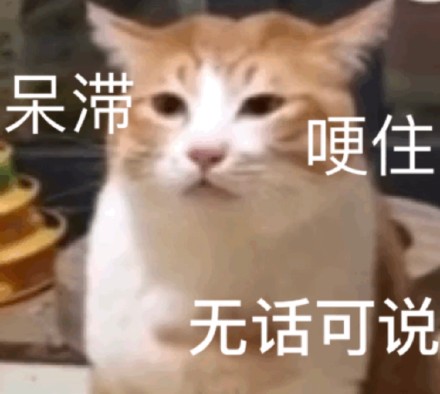 猫咪表情包合集来啦！