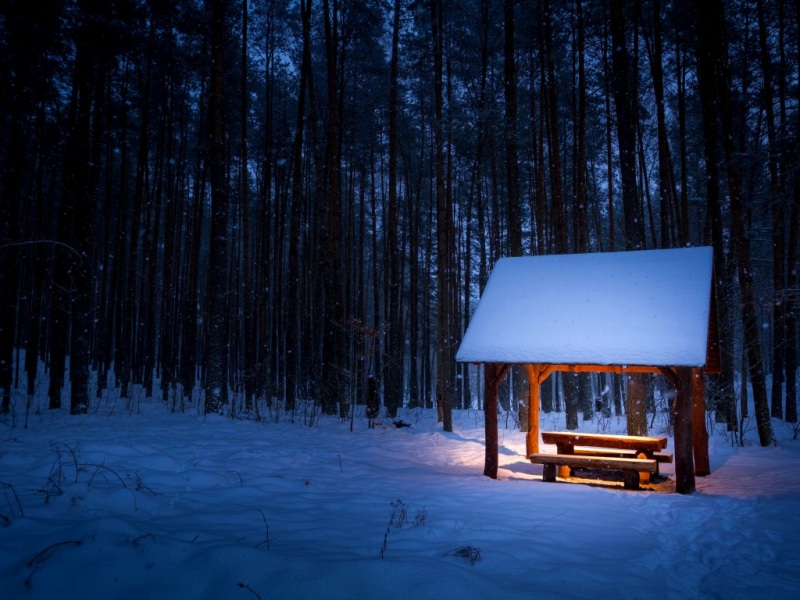 冬日森林雪景小亭子电脑壁纸
