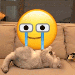 小猫咪踹小黄脸表情包合集