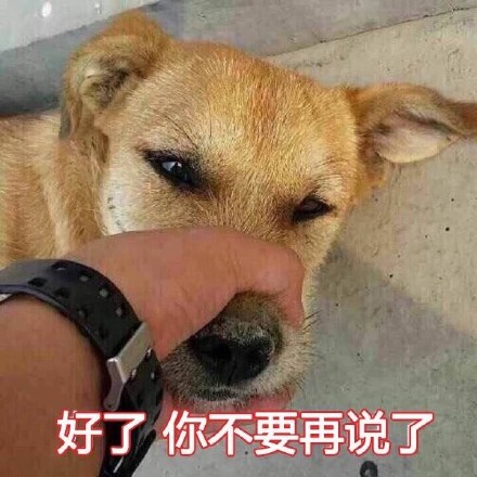 聊天时不想听了？这套“好了你不要再说了”表情包太好用了