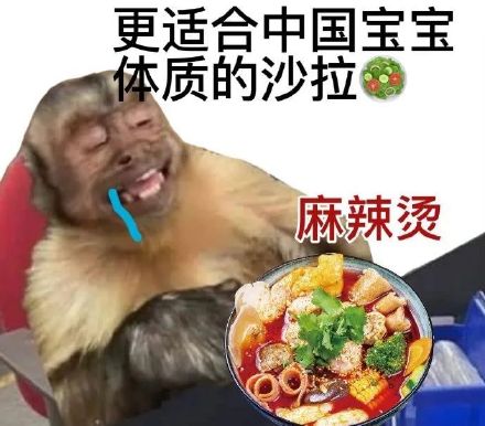 专为中国网友定制的“适配中国宝宝体质”表情包合集