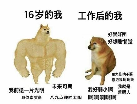 肌肉Doge和小废狗表情包来了，斗图必备！