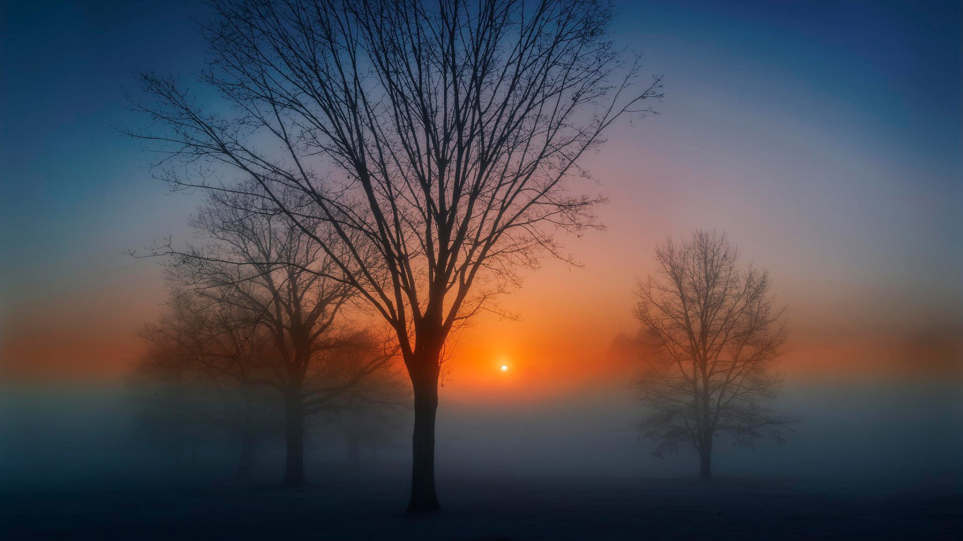 破晓时分的林间风景 电脑桌面动漫壁纸来啦