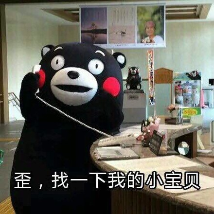 熊本熊恋爱聊天表情包合集