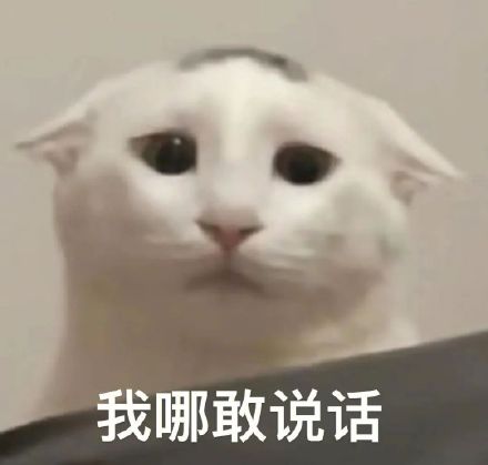 1月17日斗图表情包合集整理