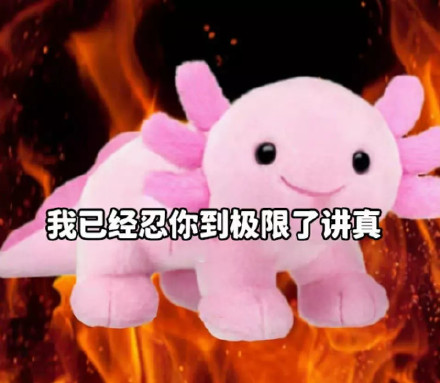 吵架怼人不用怕！这套气人表情包合集收好