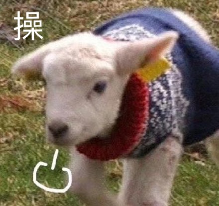 11月29日斗图表情包合集来了