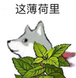 火出圈的“这河里吗”表情包到底啥梗？