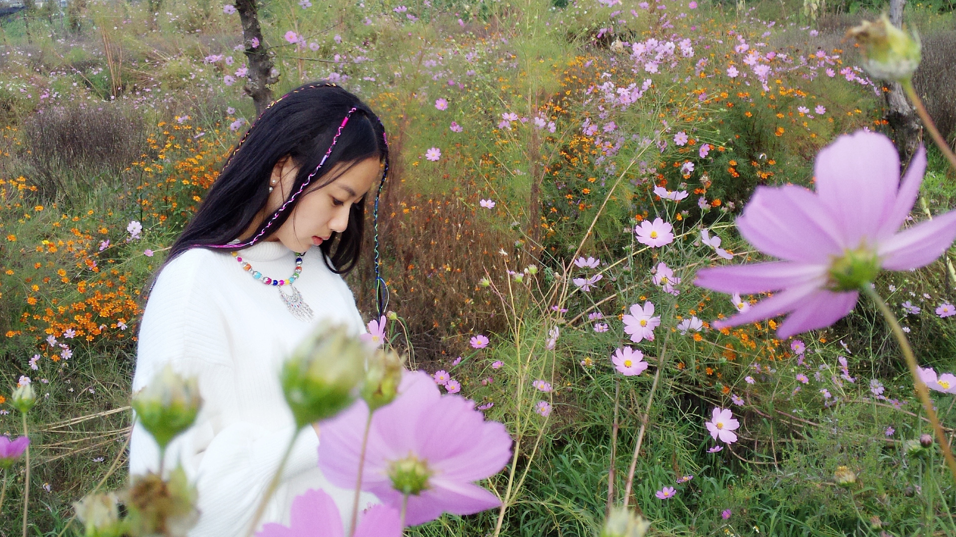 李嘉雯户外清新写真壁纸 多款高清尺寸任你选