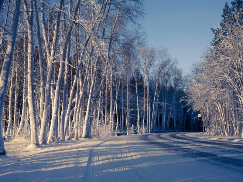 冬日雪景道路树木风景电脑壁纸