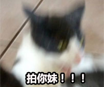 气得我都糊掉了 热门斗图表情包合集