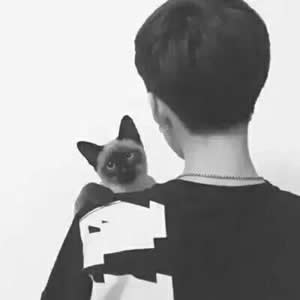 12组一男一女背影情侣QQ头像 适配微信头像用