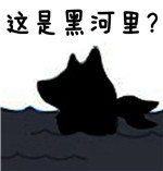 火出圈的“这河里吗”表情包到底啥梗？