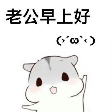 ㄇㄚˊ幾兔撒娇合集！给老公发的可爱表情包