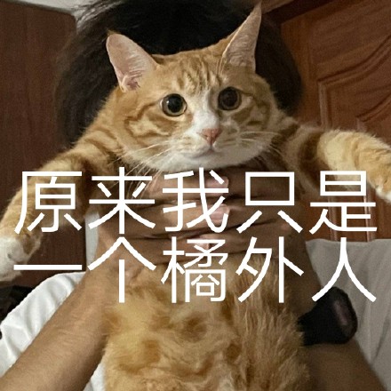 猫咪喵星人斗图表情包合集来啦