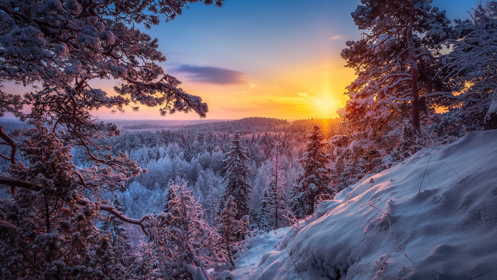 冬日森林暖阳雪景 多款尺寸电脑动漫壁纸免费下