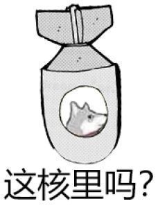 火出圈的“这河里吗”表情包到底啥梗？