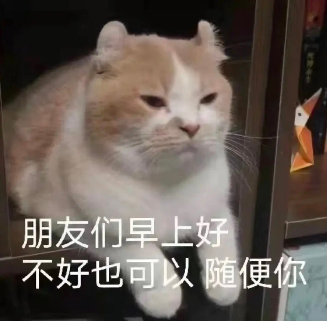 日常聊天救星！这套实用表情包合集直接封神