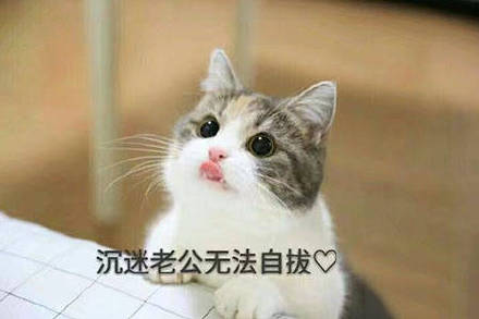 超甜！这套“老公老公我爱你”表情包太适合撩喜欢的人了