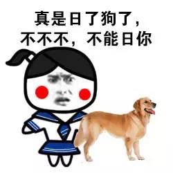 这套小学生斗图表情包火了！配文“只和小学毕业的玩”太绝了