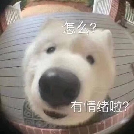 12月29日斗图表情包精选合集