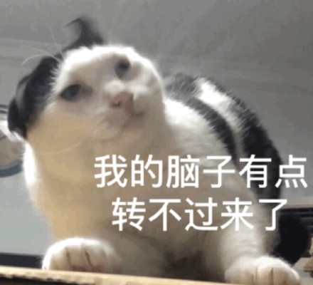猫咪表情包合集来啦！