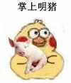超萌小黄鸡抱猪猪表情包合集来啦