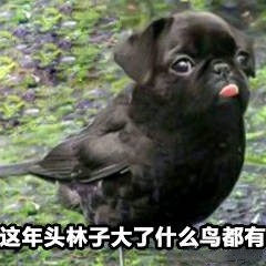 7月7日斗图表情包合集来啦