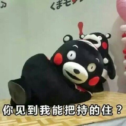 用熊本熊怼人表情包斗图？这套素材刚好适配