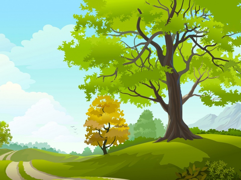 这款矢量风景壁纸太绝了！包含树木草地天空云和道路，适配多种电脑屏幕尺寸