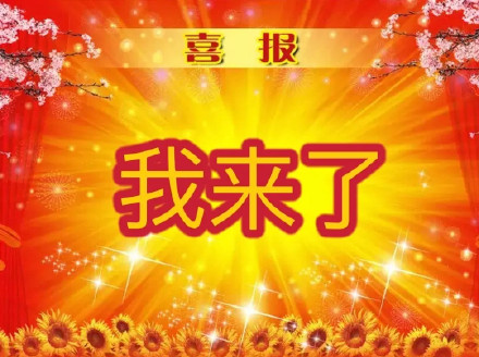 1月30日斗图表情包合集来啦