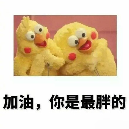 鹦鹉兄弟版“偷偷告诉你”表情包来啦