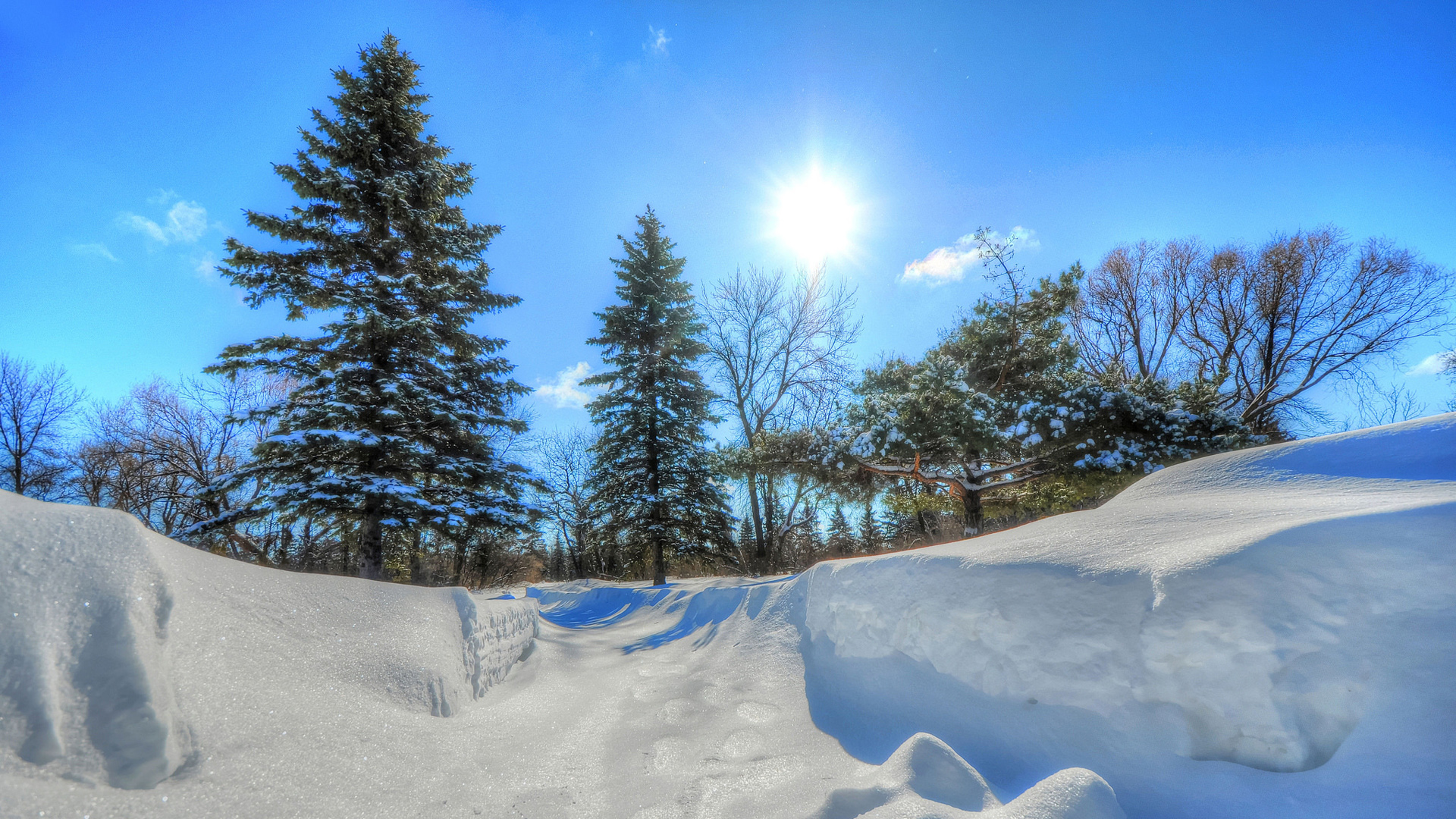 冬日暖阳雪景电脑壁纸 适配多尺寸高清桌面背景