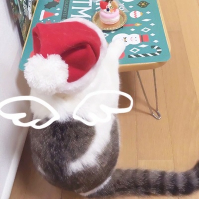 22张超萌喵星人情侣头像 高清可爱直接用