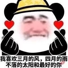 土味情话表情包合集，撩妹聊天超好用