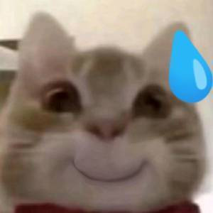 歪嘴猫猫表情包合集来啦