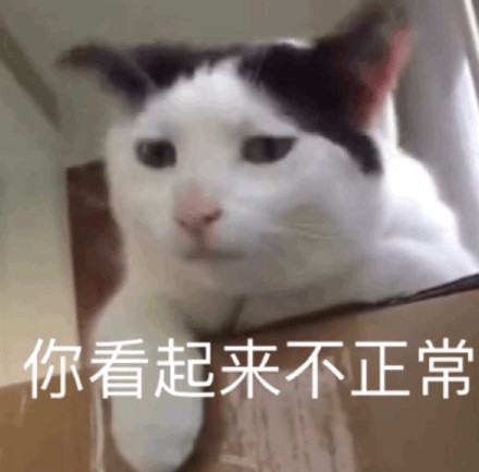 猫咪表情包合集来啦！