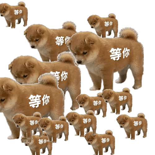 聊天斗图必备！站岗小狗表情包合集整理好了