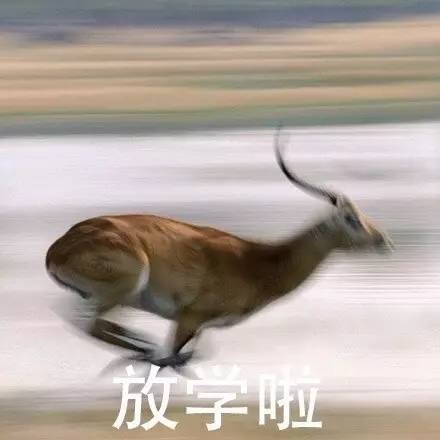 “溜了溜了”表情包合集来啦