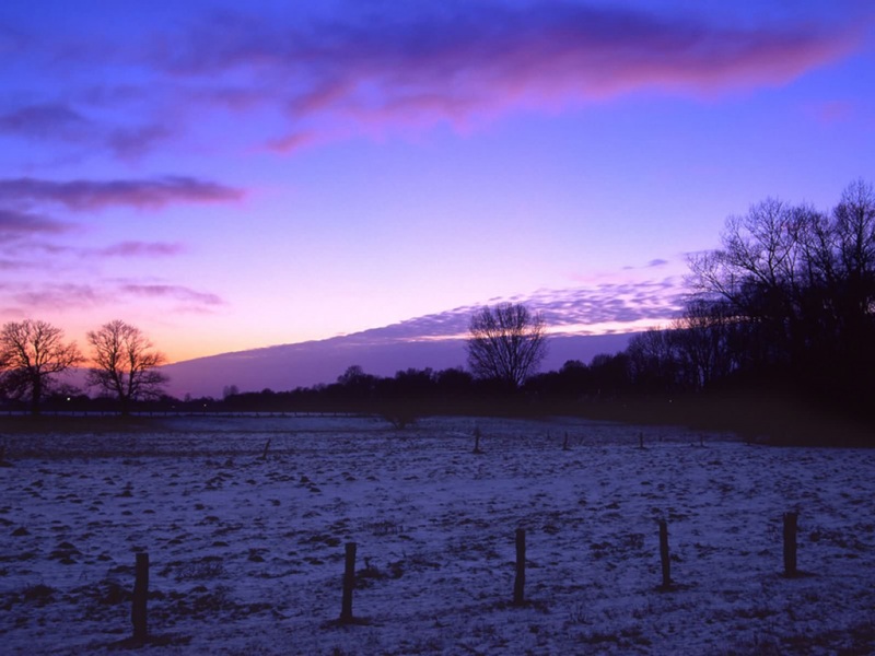 适合电脑用的乡村自然动漫风桌面壁纸来啦