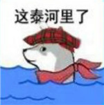 火出圈的“这河里吗”表情包到底啥梗？