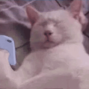 让人忍不住发的没眼看系列表情包