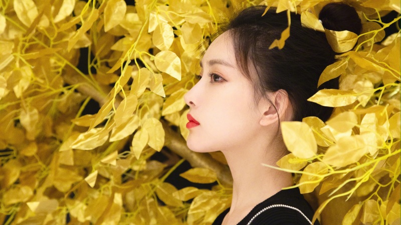 孟子义高清壁纸资源上新啦