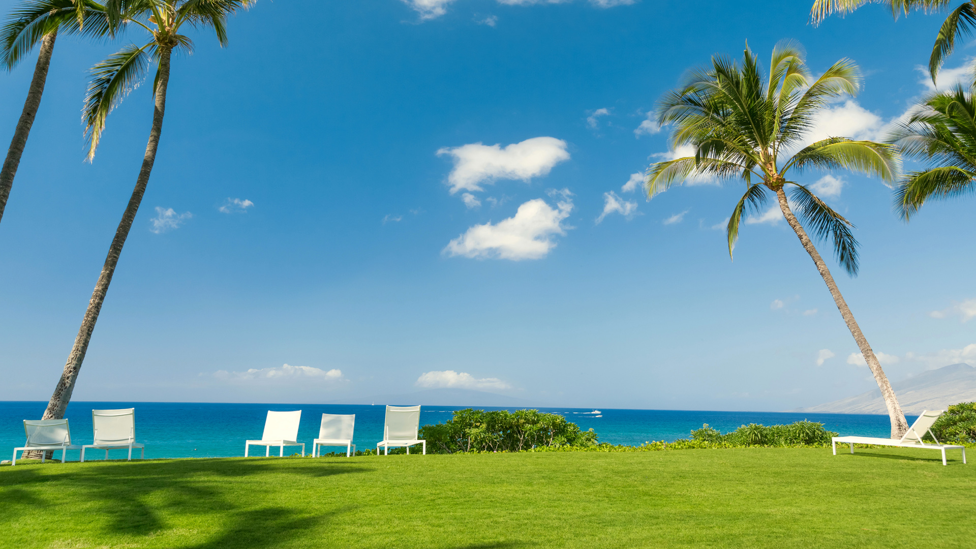 海边治愈风！天空海洋棕榈草坪电脑动漫壁纸