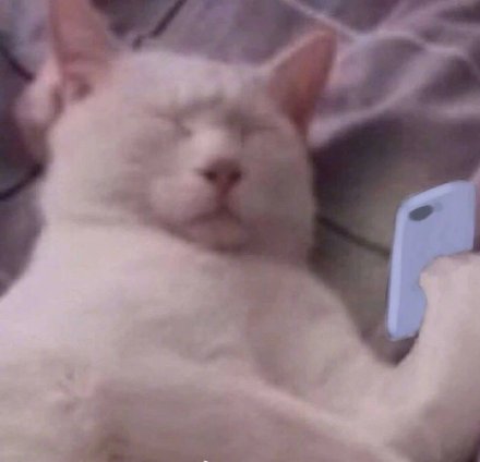 聊天必备！看手机辣眼睛表情包合集