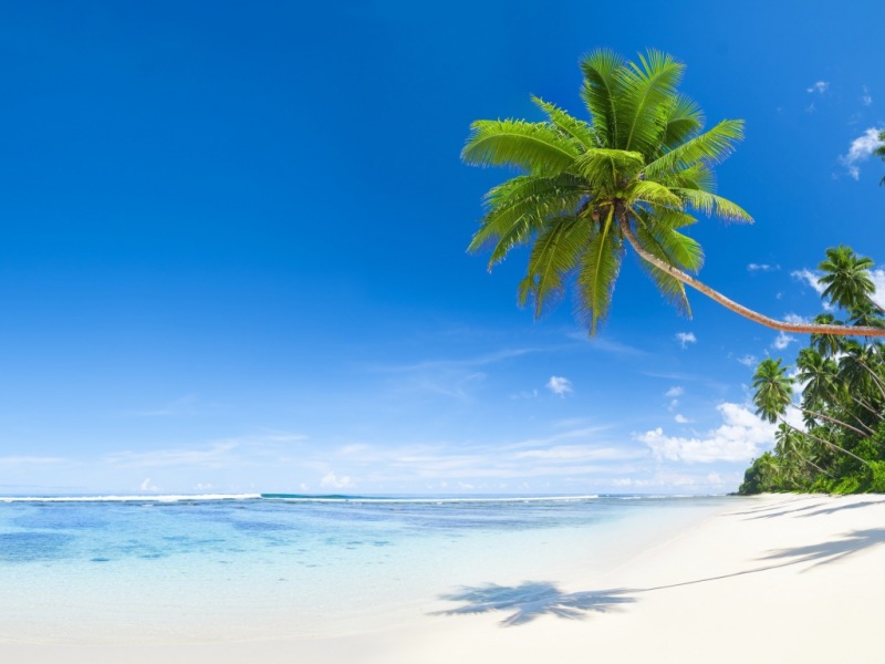 热带海边治愈风光电脑壁纸上新啦